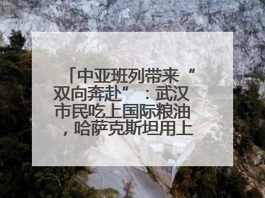 中亚班列带来“双向奔赴”：武汉市民吃上国际粮油，哈萨克斯坦用上鄂产光电屏